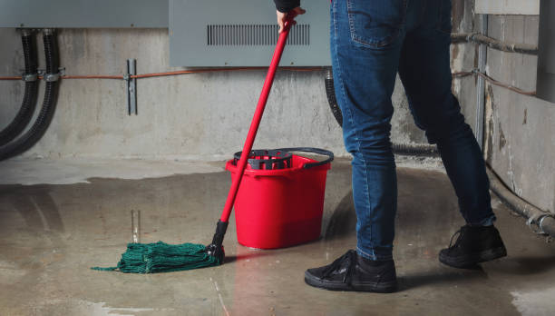 Water damage restoration experts in Oak Ridge North, TX