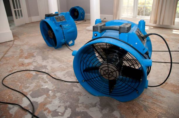 Water damage restoration insurance claims in Oak Ridge North, TX