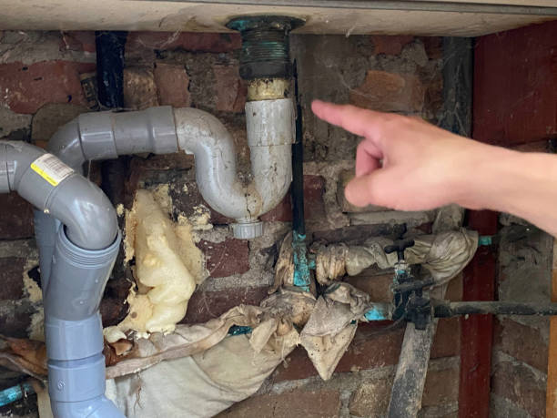 Best Flood restoration services  in Oak Ridge North, TX